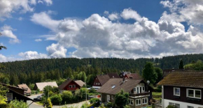 FeWo Waldblick Schulenberg im Oberharz